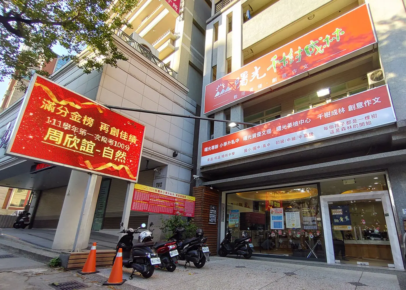 曙光西屯旗艦校-千樹成林2